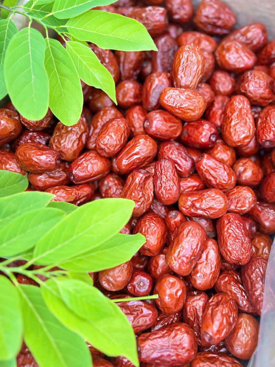 Sweet Dried Jujube - Táo Đỏ Hằng Du Mục - 1kg