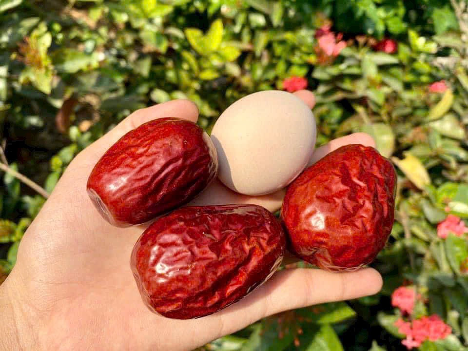 Sweet Dried Jujube - Táo Đỏ Hằng Du Mục - 1kg