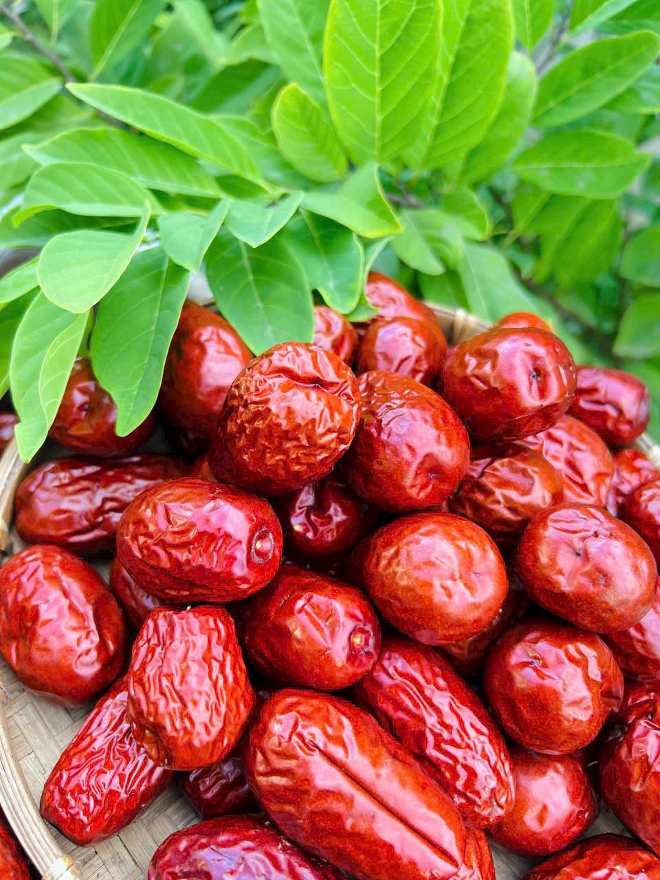 Sweet Dried Jujube - Táo Đỏ Hằng Du Mục - 1kg